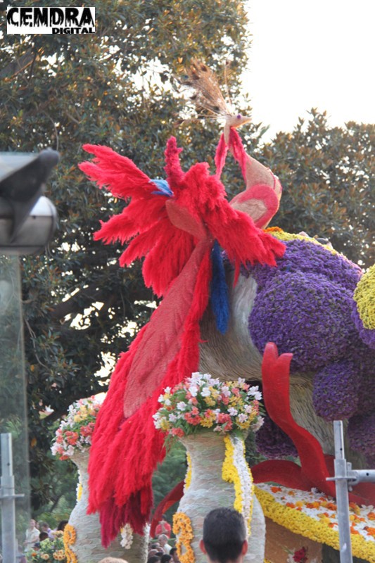 BATALLA FLORES 2011 (4)