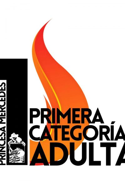 Foguera Princesa Mercedes